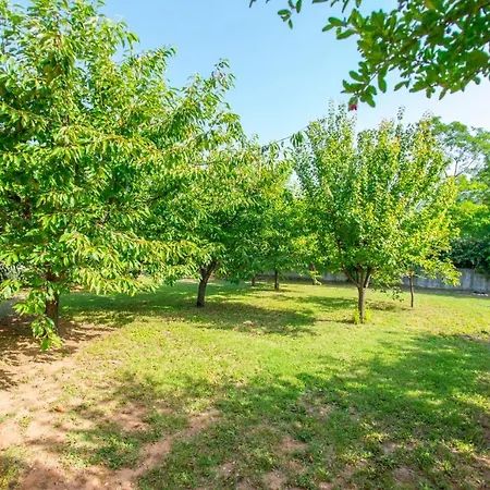 Narona بيت للعطل موستار